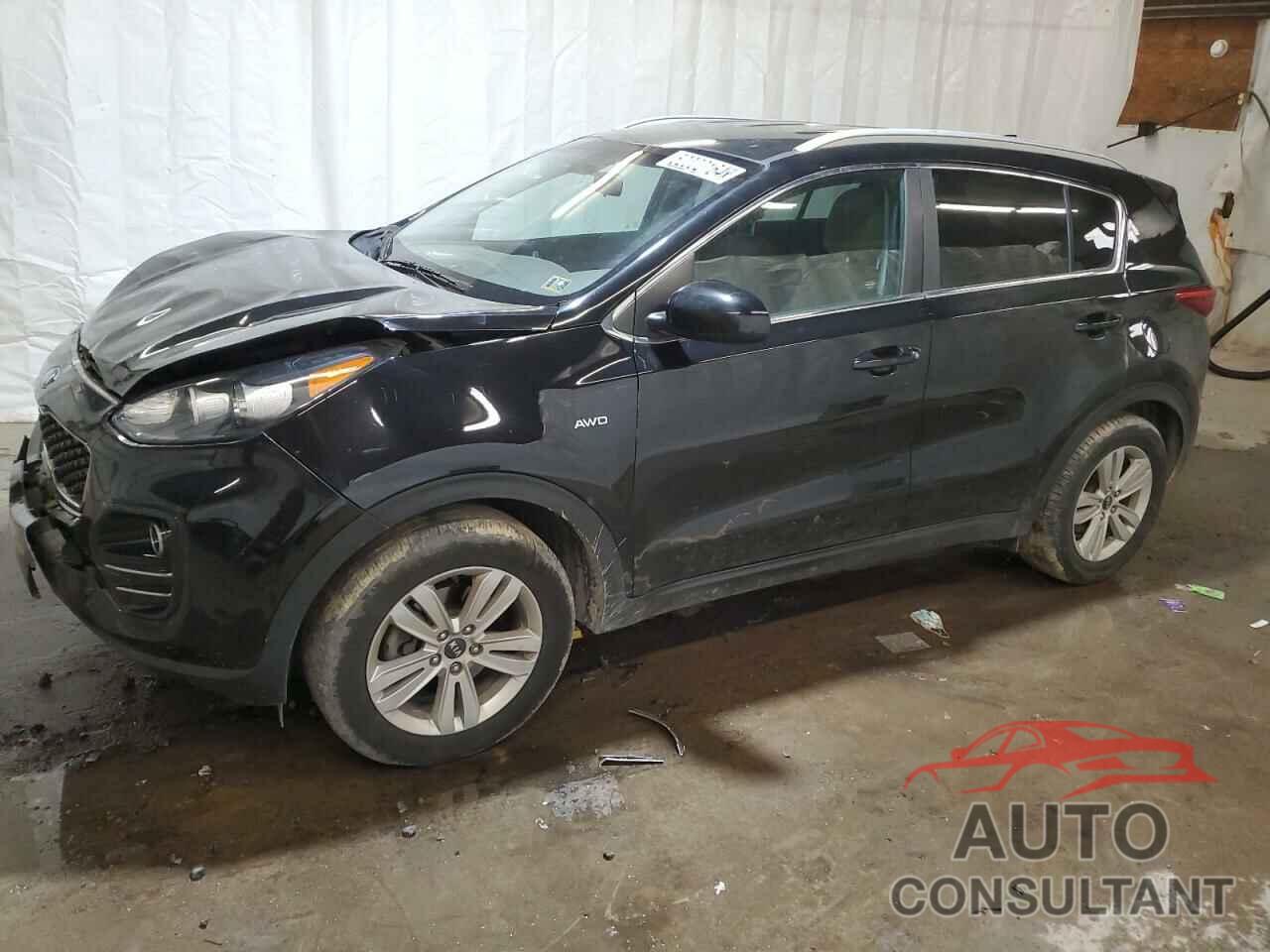 KIA SPORTAGE 2017 - KNDPMCAC9H7207468