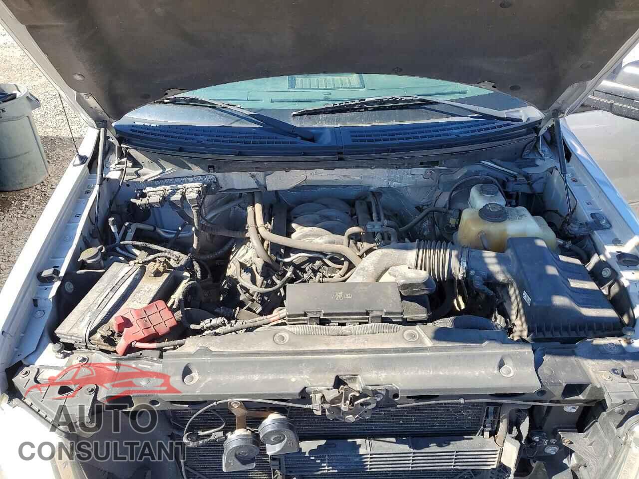 FORD F150 2013 - 1FTFX1EF3DFD21607