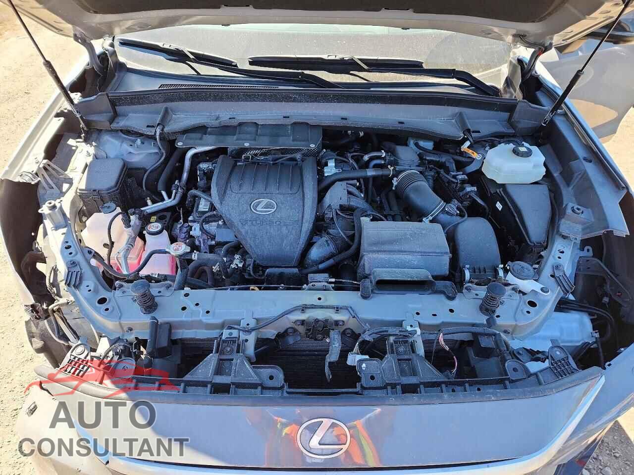 LEXUS UNKNOWN 2025 - 5TDABAB65SS011968