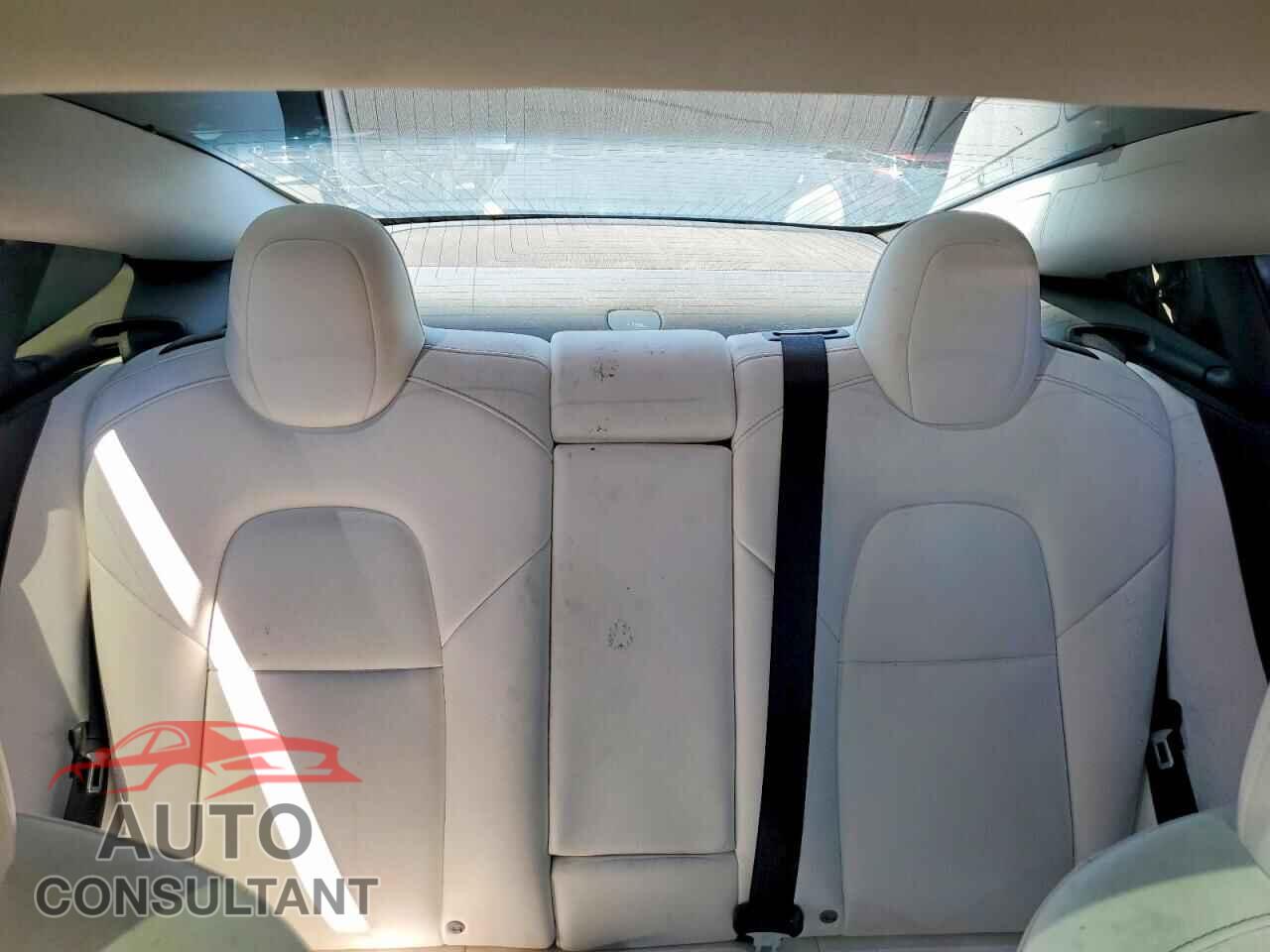 TESLA MODEL 3 2019 - 5YJ3E1EA5KF302183