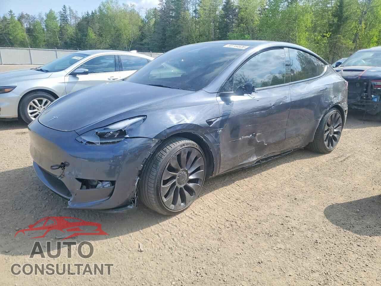 TESLA MODEL Y 2022 - 7SAYGDEF0NF508242