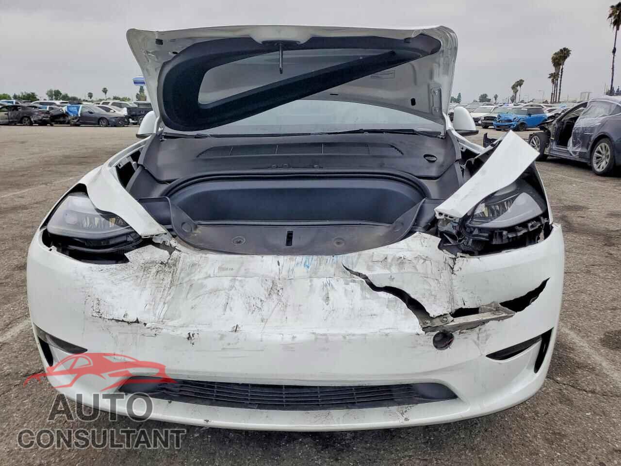 TESLA MODEL Y 2024 - 7SAYGDED4RF204478