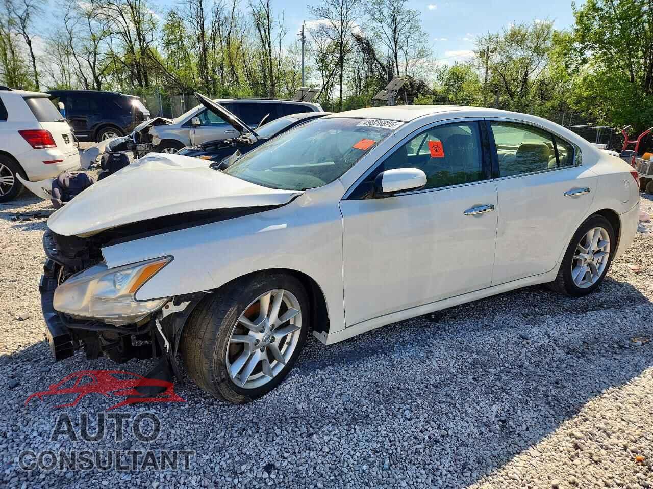 NISSAN MAXIMA 2011 - 1N4AA5AP9BC834656