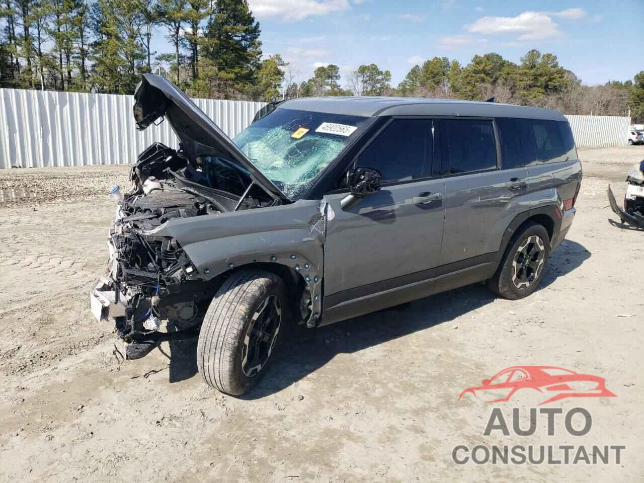 HYUNDAI SANTA FE 2024 - 5NMP1DGL2RH054366