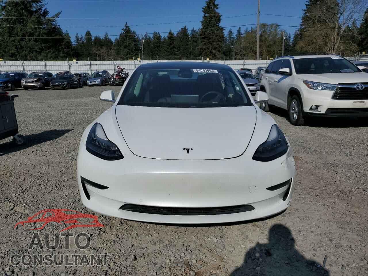 TESLA MODEL 3 2019 - 5YJ3E1EB2KF442345