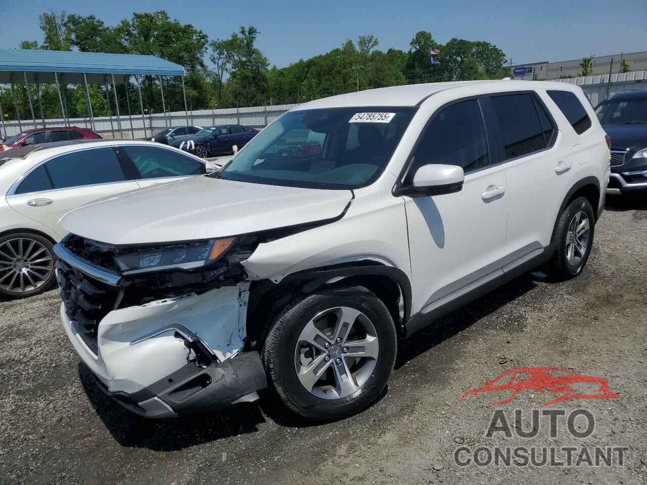 HONDA PILOT 2024 - 5FNYG2H49RB014818
