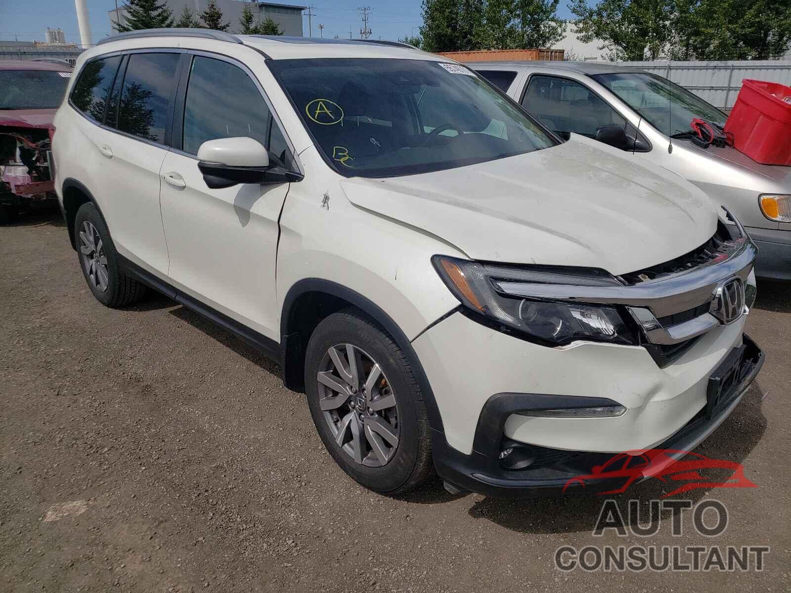 HONDA PILOT 2019 - 5FNYF6H76KB506443