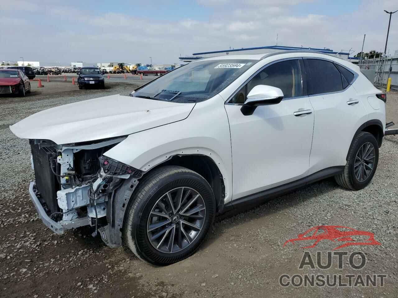 LEXUS NX 350 BAS 2024 - JTJAGCEZXR2014429