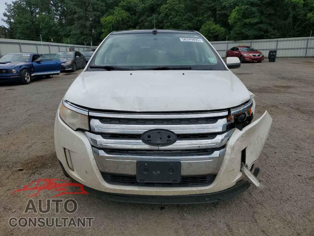 FORD EDGE 2011 - 2FMDK3KC2BBB64917