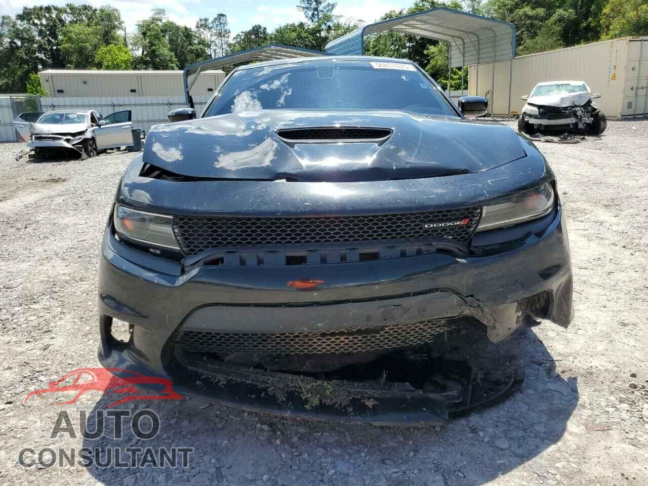 DODGE CHARGER 2019 - 2C3CDXCTXKH636699