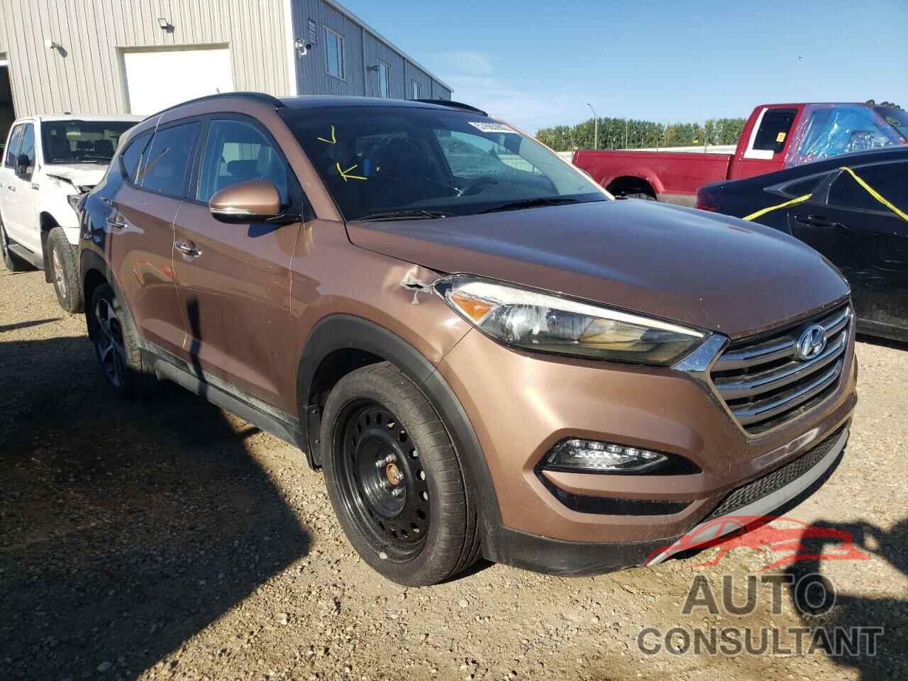 HYUNDAI TUCSON 2017 - KM8J3CA25HU312277