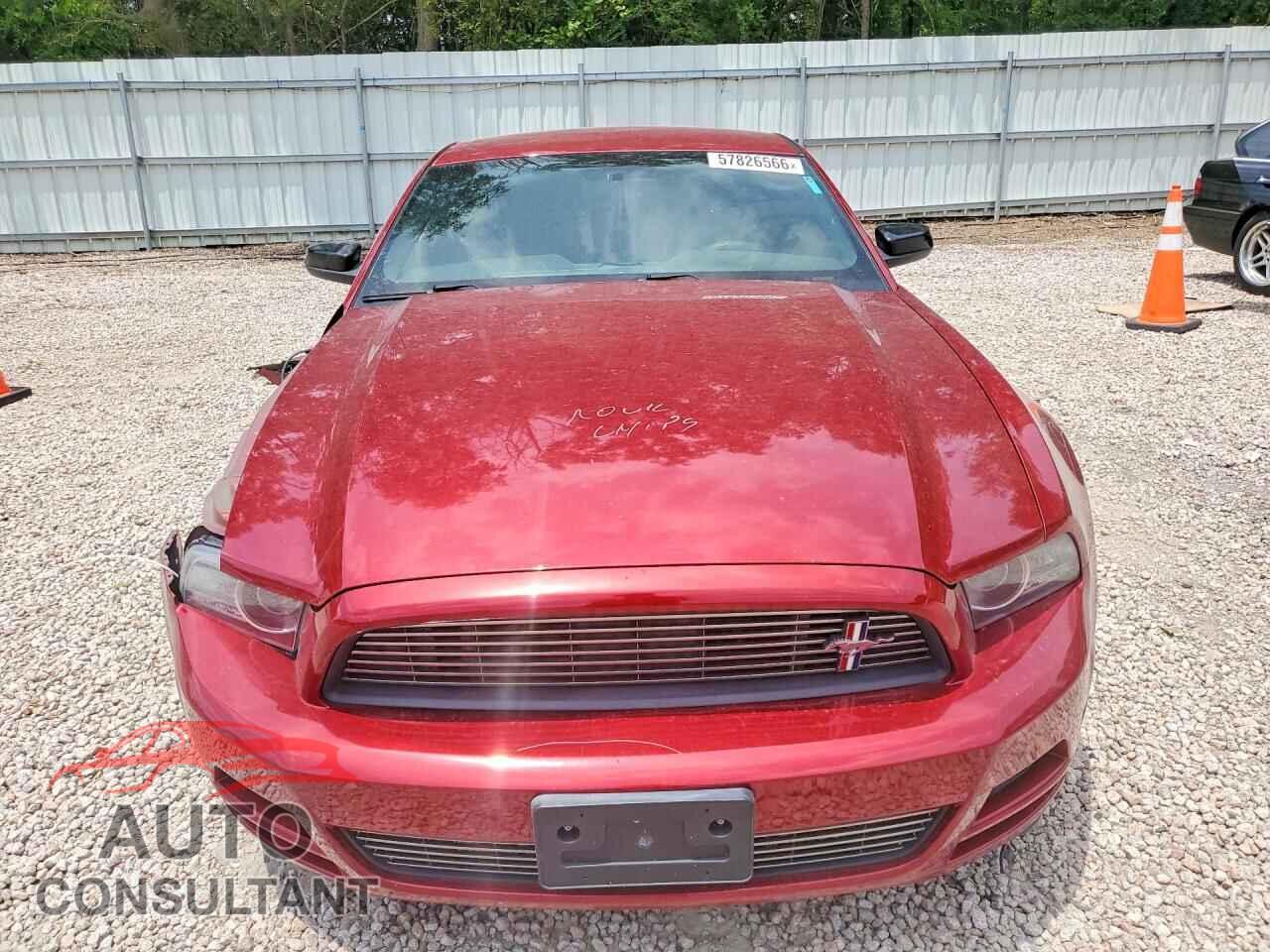 FORD MUSTANG 2014 - 1ZVBP8AM4E5280016