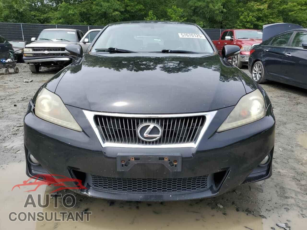 LEXUS IS 2011 - JTHCF5C26B5048581