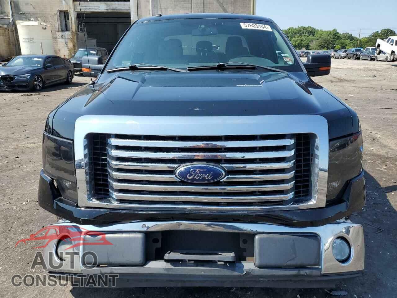 FORD ALL OTHER 2011 - 1FTFW1CF9BFC29193