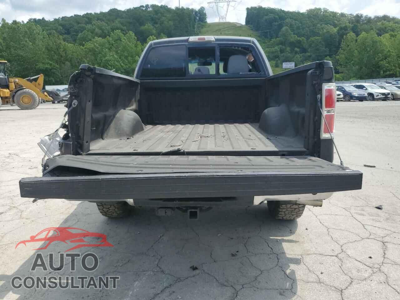 FORD F-150 2013 - 1FTFX1EF1DFA59005