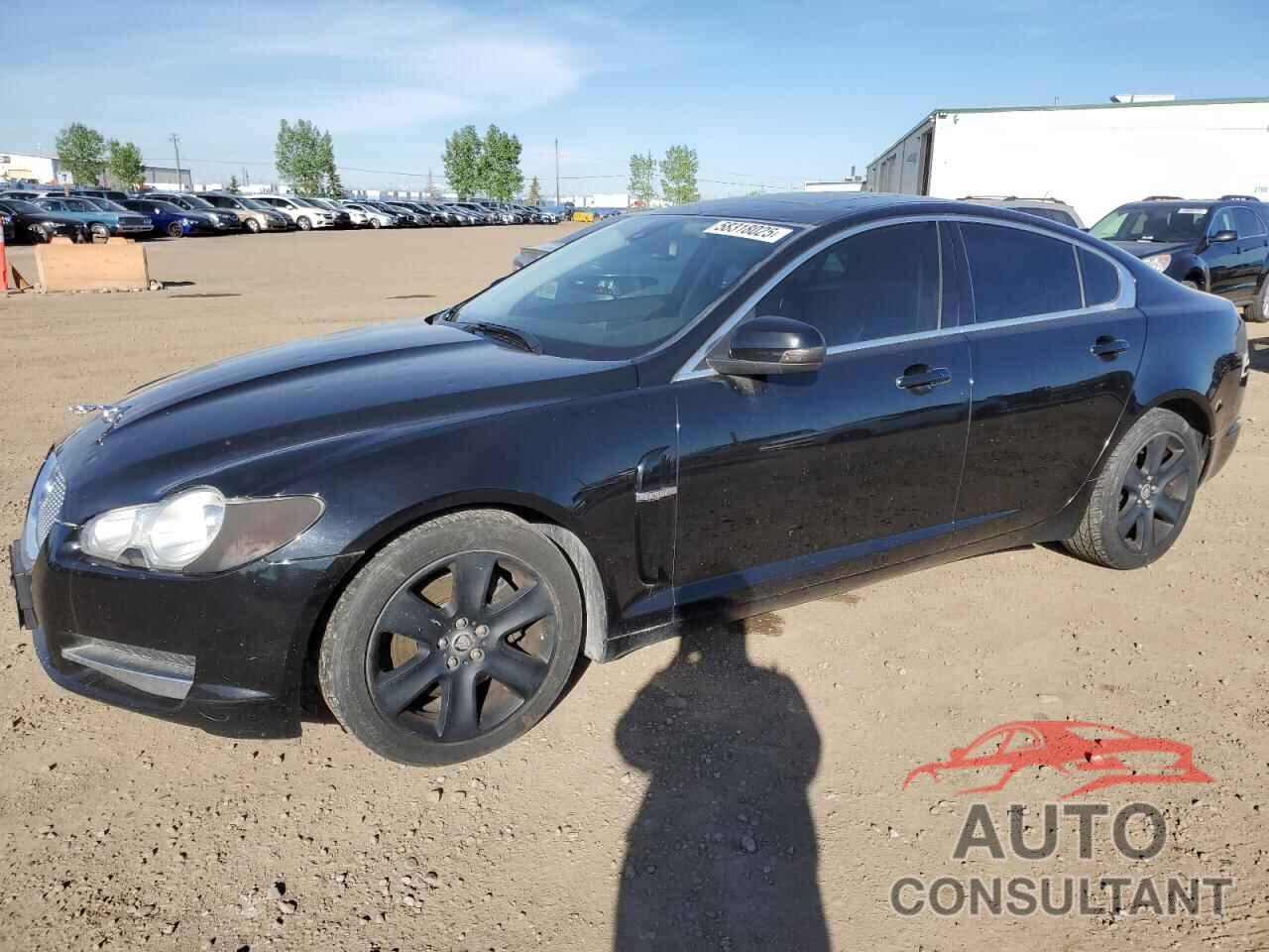 JAGUAR XF 2009 - SAJXA05B79HR03185