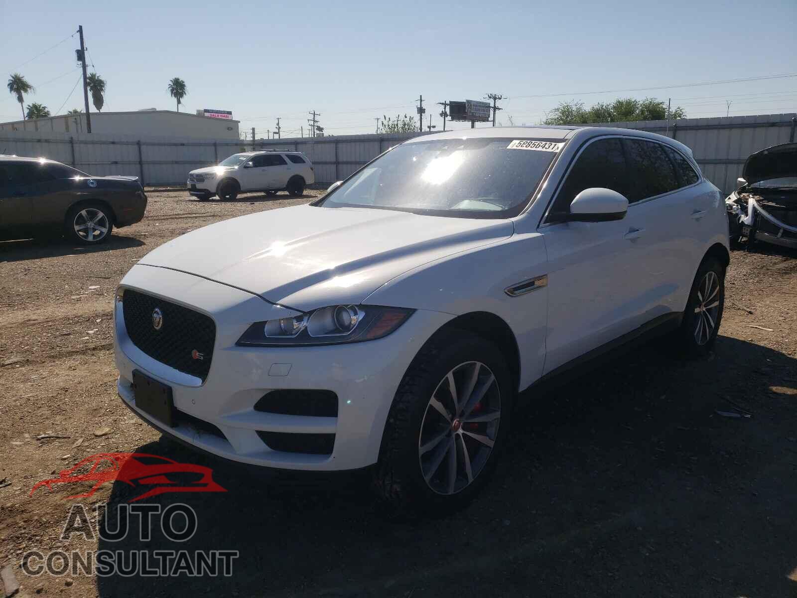 JAGUAR F-PACE 2017 - SADCK2BV7HA070844