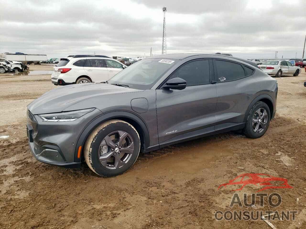 FORD MUSTANG 2023 - 3FMTK1R46PMB03350