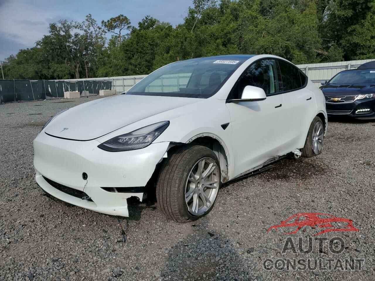 TESLA MODEL Y 2020 - 5YJYGDEE8LF055974