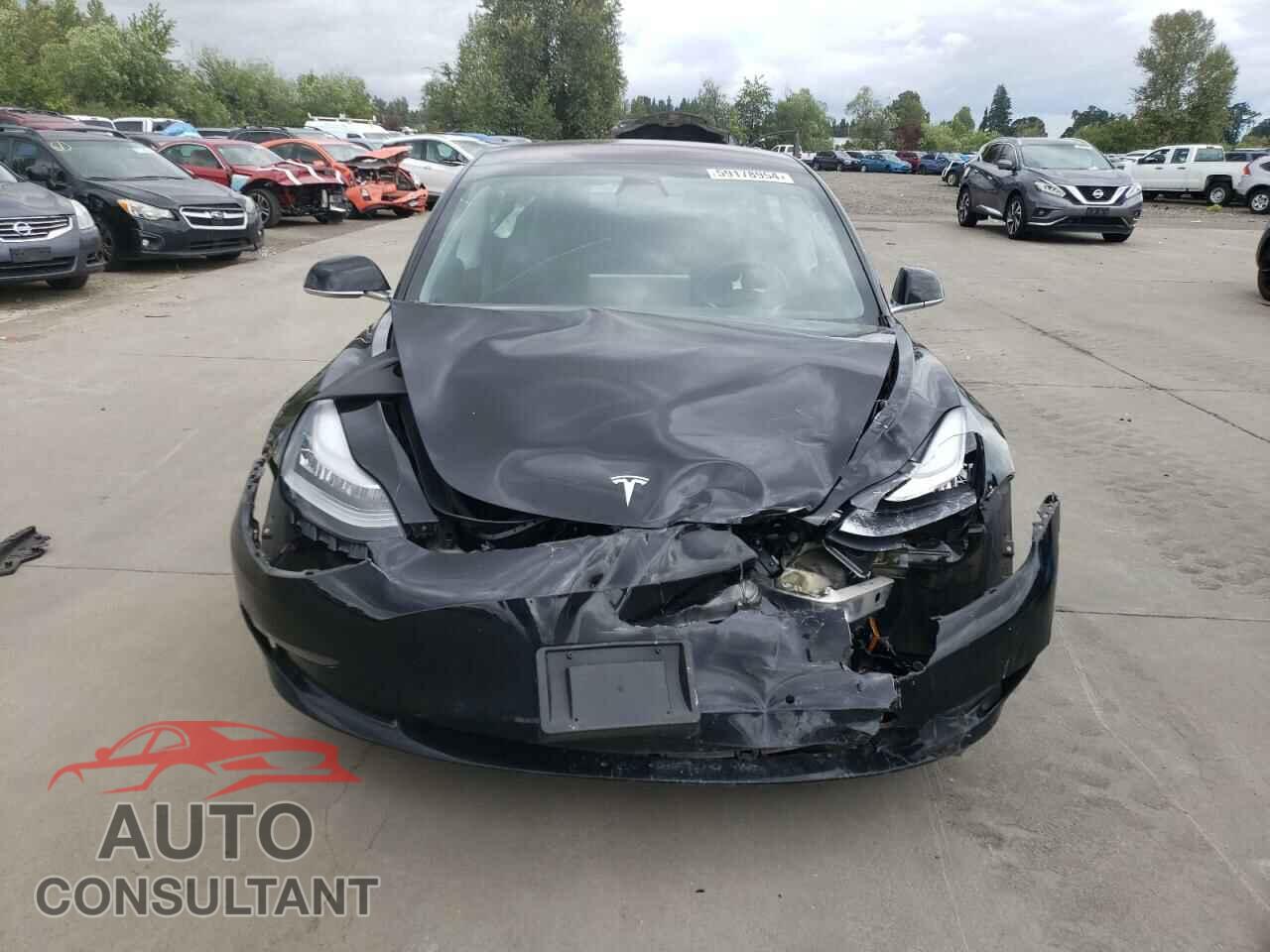 TESLA MODEL 3 2018 - 5YJ3E1EA0JF172523