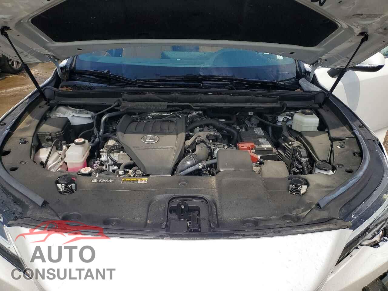 LEXUS RX350 2023 - 2T2BAMCA7PC032005