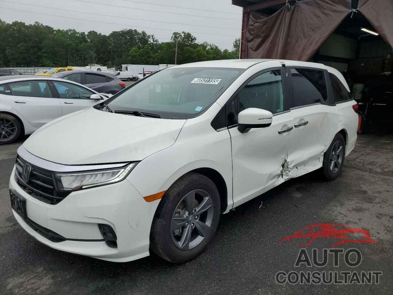 HONDA All Models 2024 - 5FNRL6H50RB059887