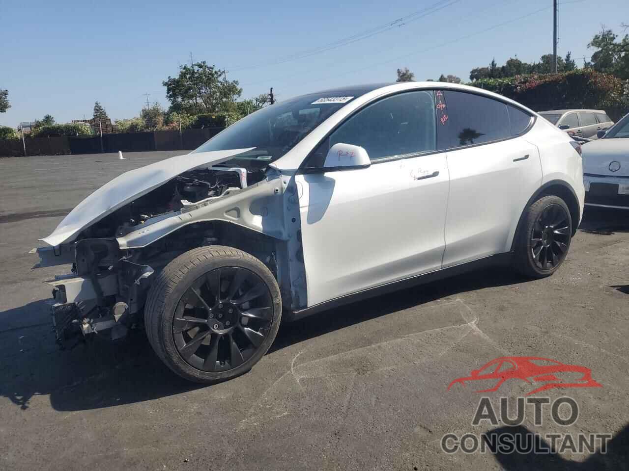 TESLA MODEL Y 2020 - 5YJYGDEE7LF022495
