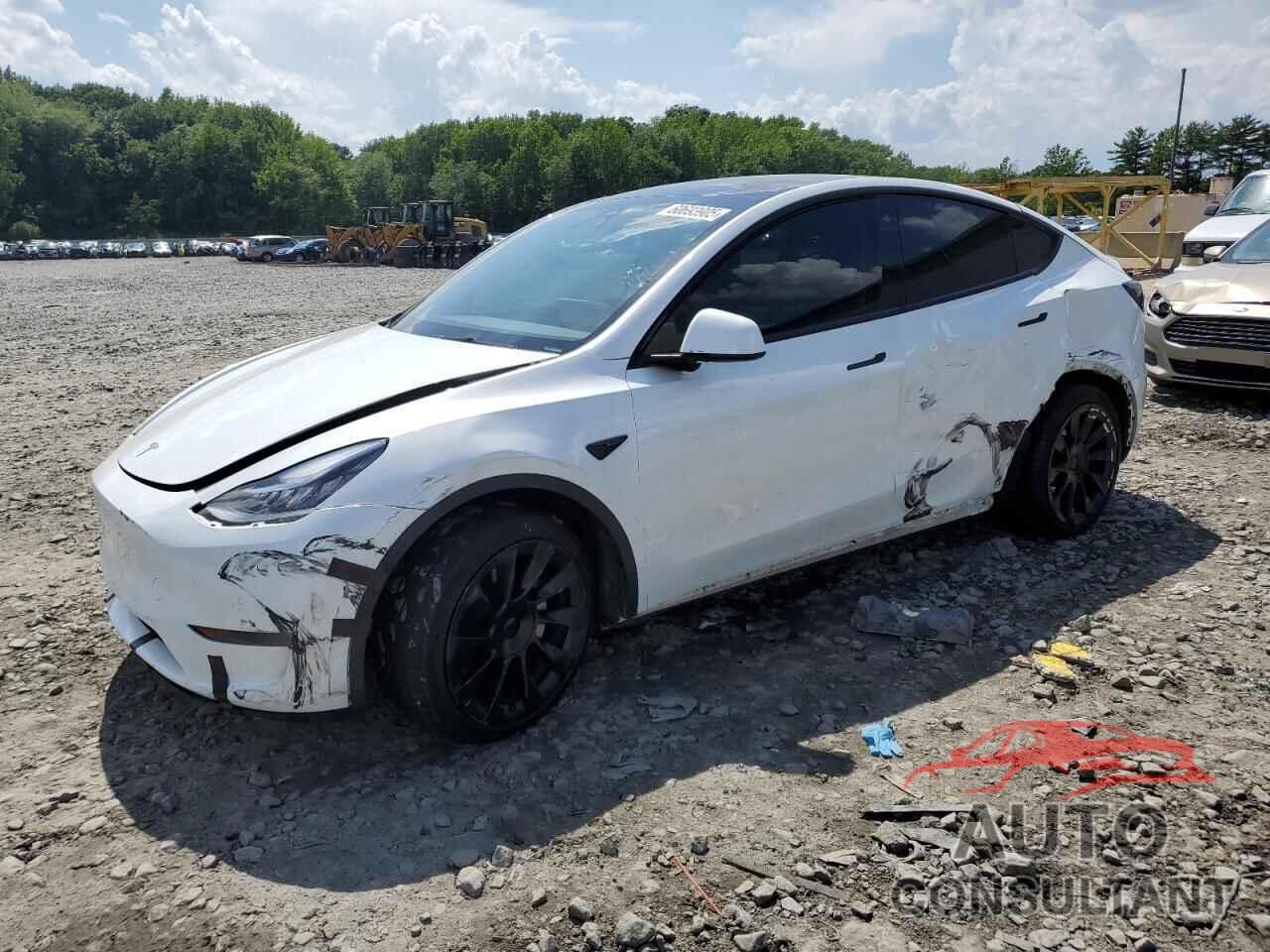 TESLA MODEL Y 2022 - 7SAYGDEE8NA013467