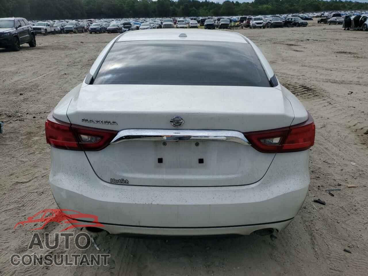 NISSAN MAXIMA 2016 - 1N4AA6AP7GC437525