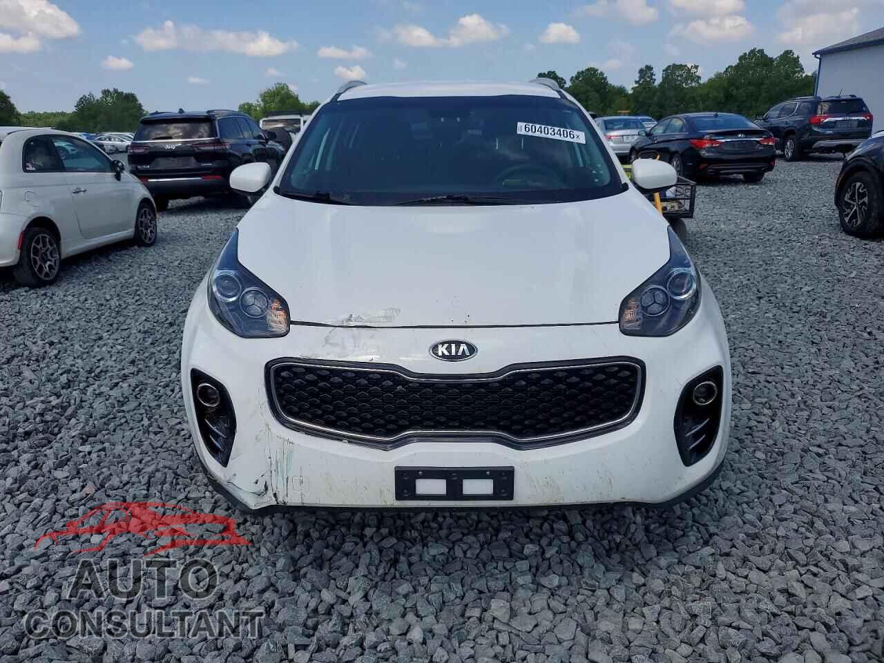 KIA SPORTAGE 2017 - KNDPMCAC5H7291885
