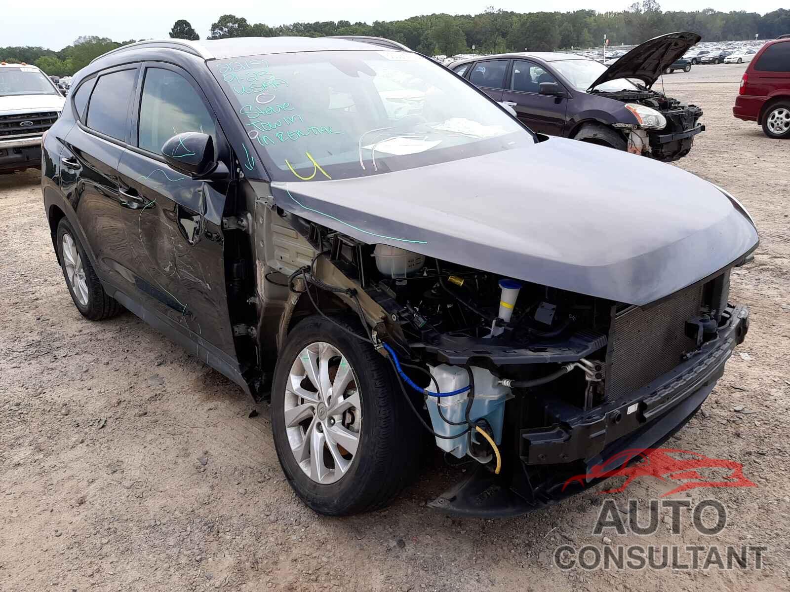 HYUNDAI TUCSON 2019 - KM8J33A42KU995175