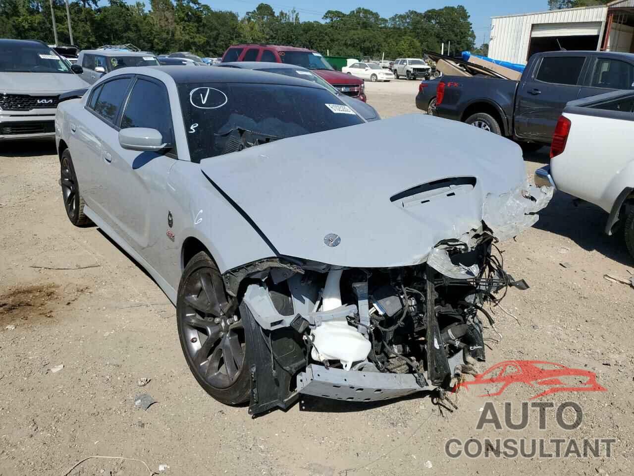 DODGE CHARGER 2021 - 2C3CDXGJ3MH579595