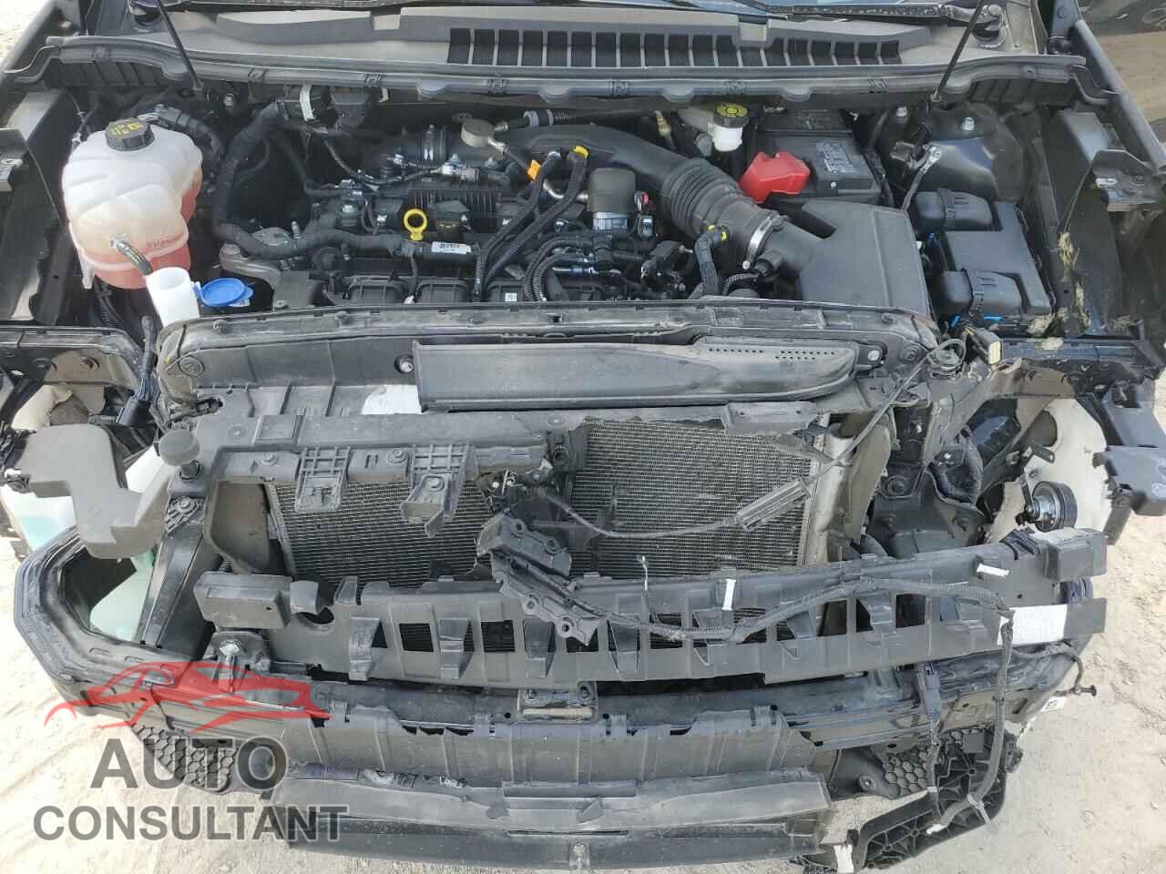 FORD EDGE 2019 - 2FMPK4K99KBC20522