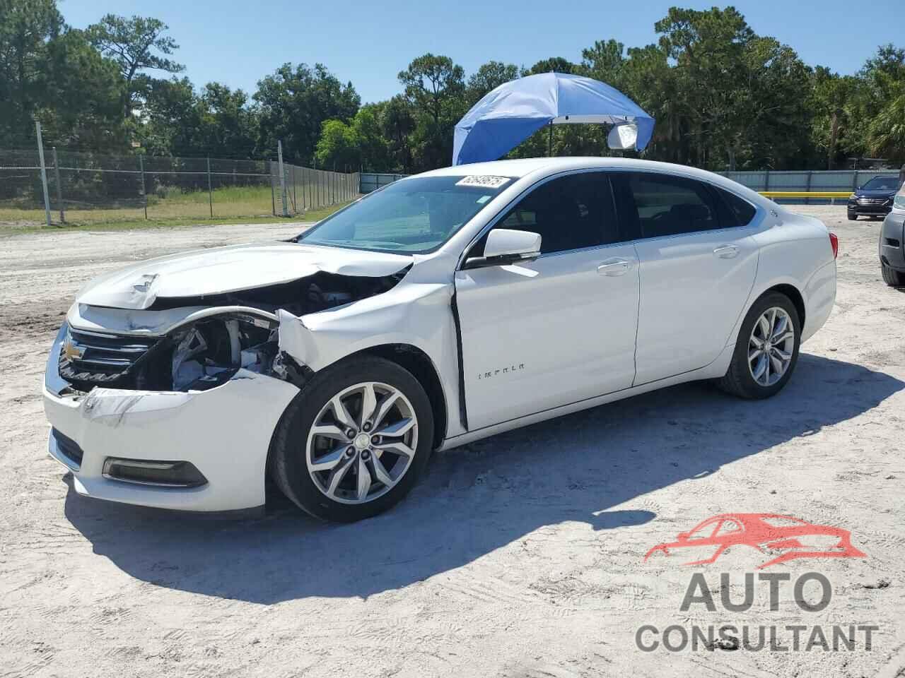CHEVROLET IMPALA 2019 - 2G11Z5S34K9114518