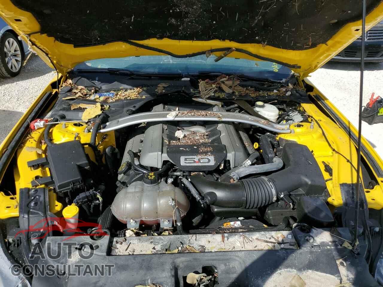 FORD MUSTANG 2017 - 1FATP8FF3H5339875