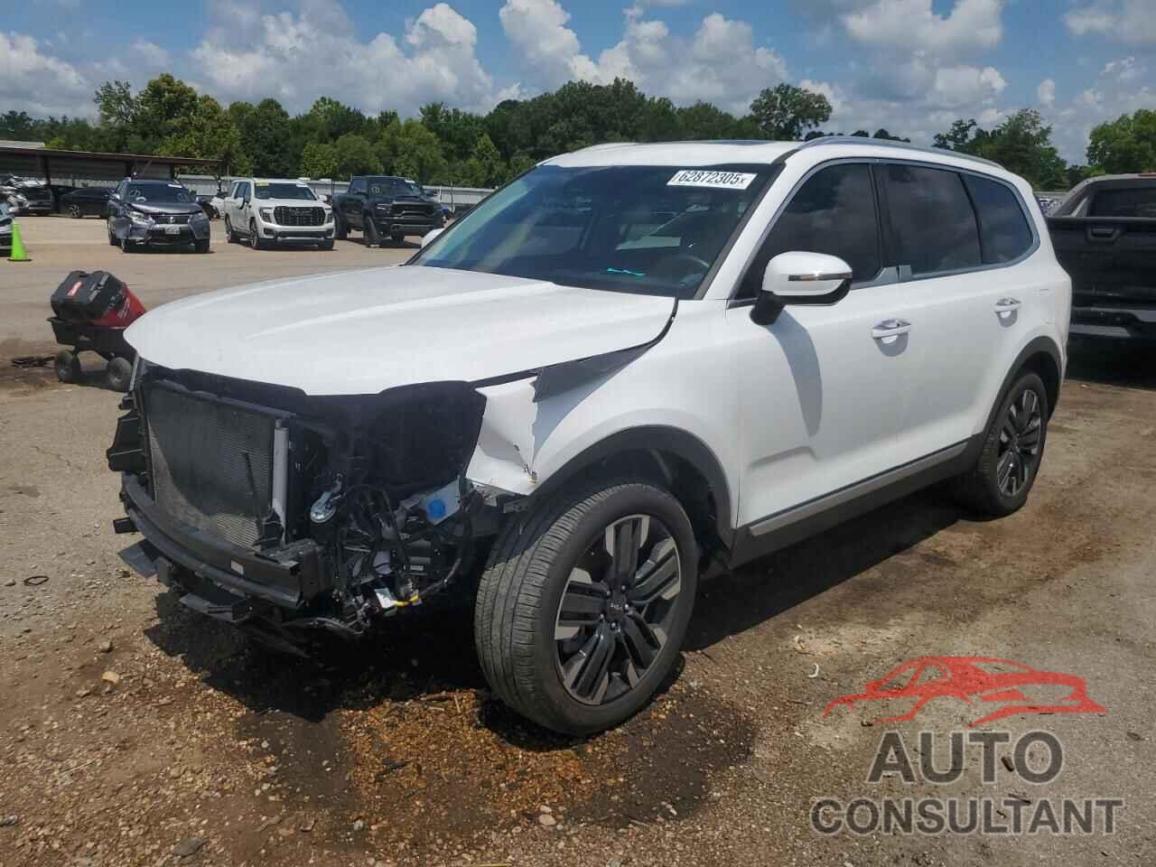 KIA TELLURIDE 2024 - 5XYP54GC4RG474306