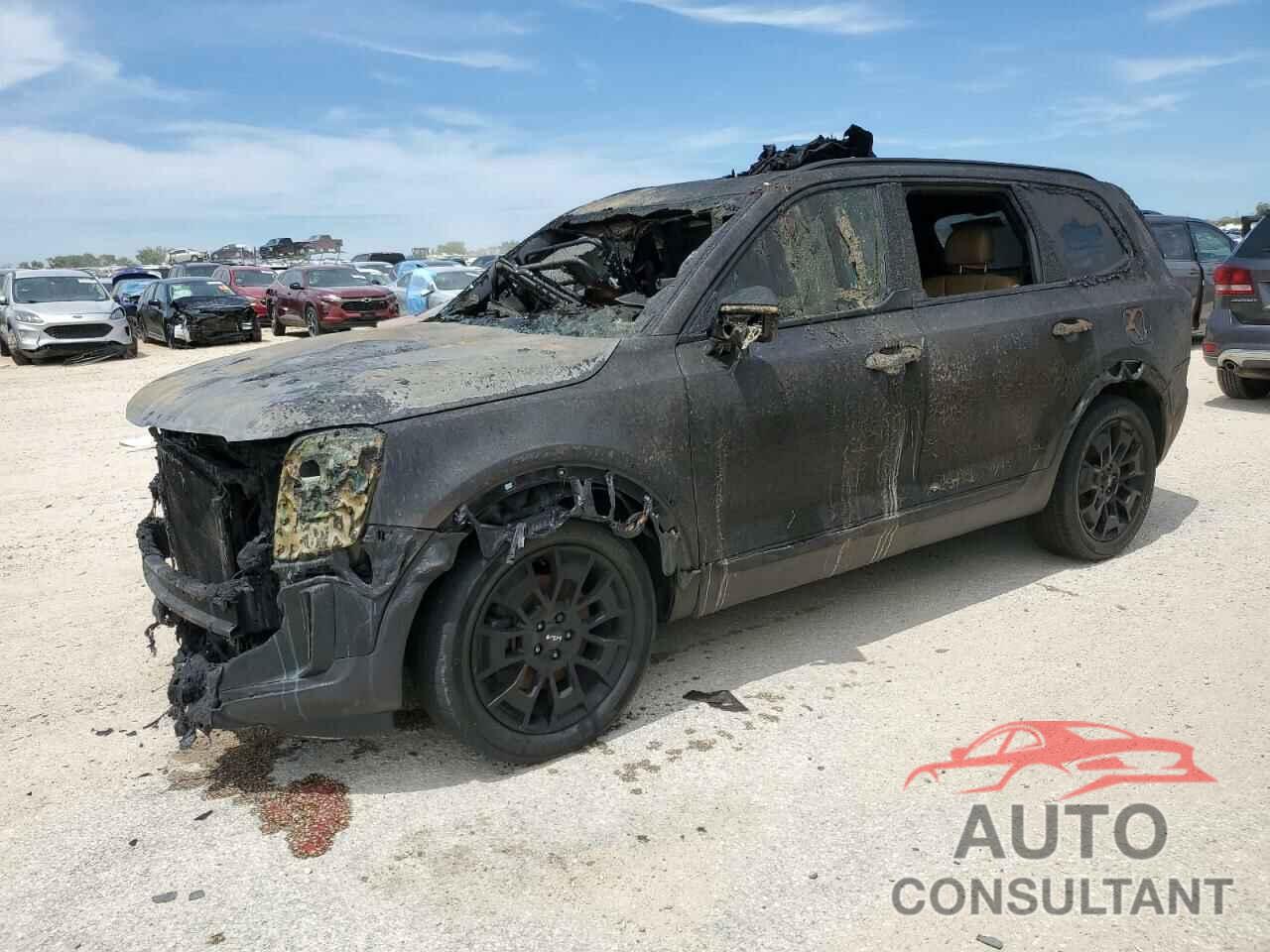 KIA TELLURIDE 2022 - 5XYP5DHC0NG313654