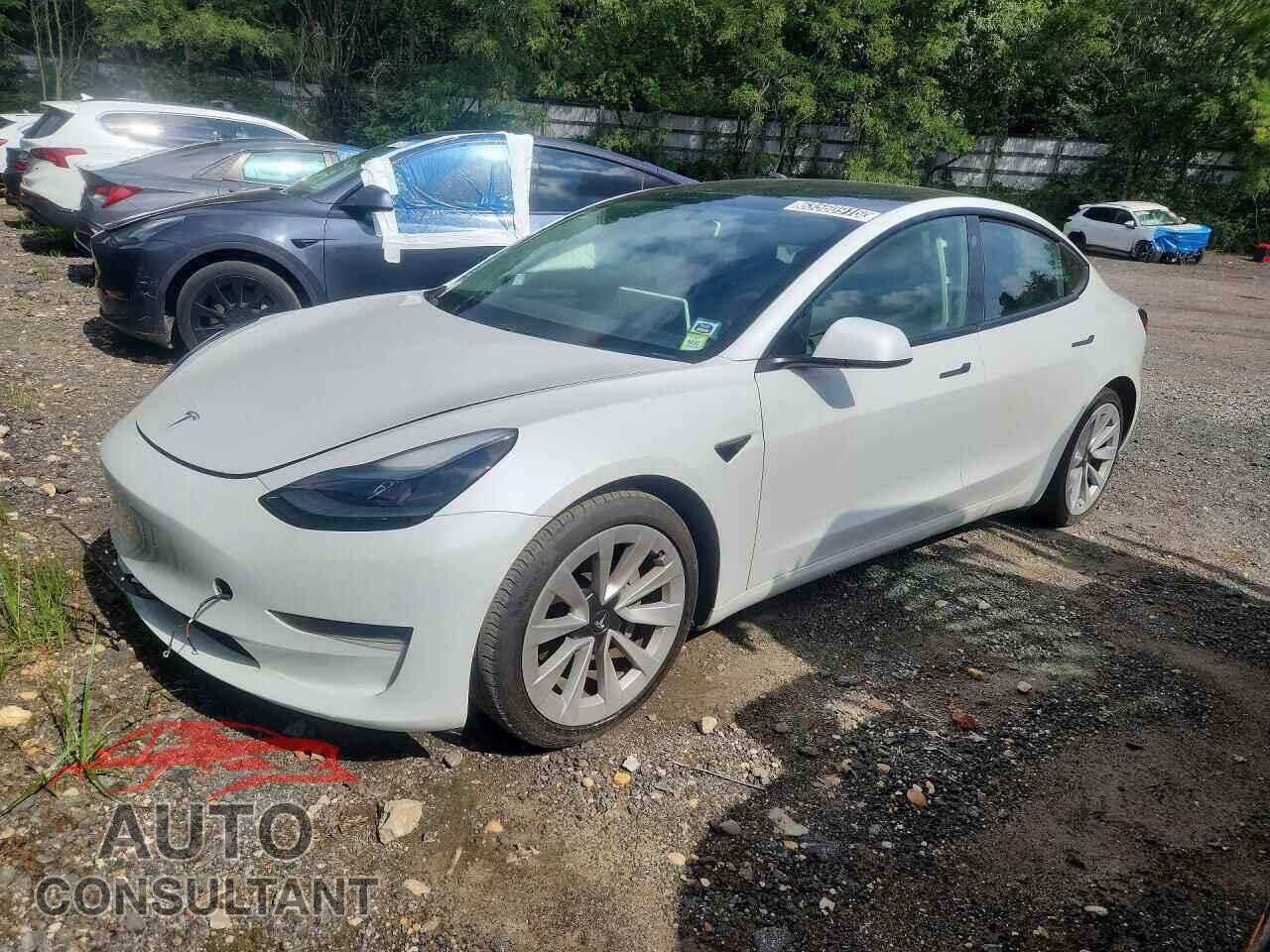 TESLA MODEL 3 2021 - 5YJ3E1EA2MF053344