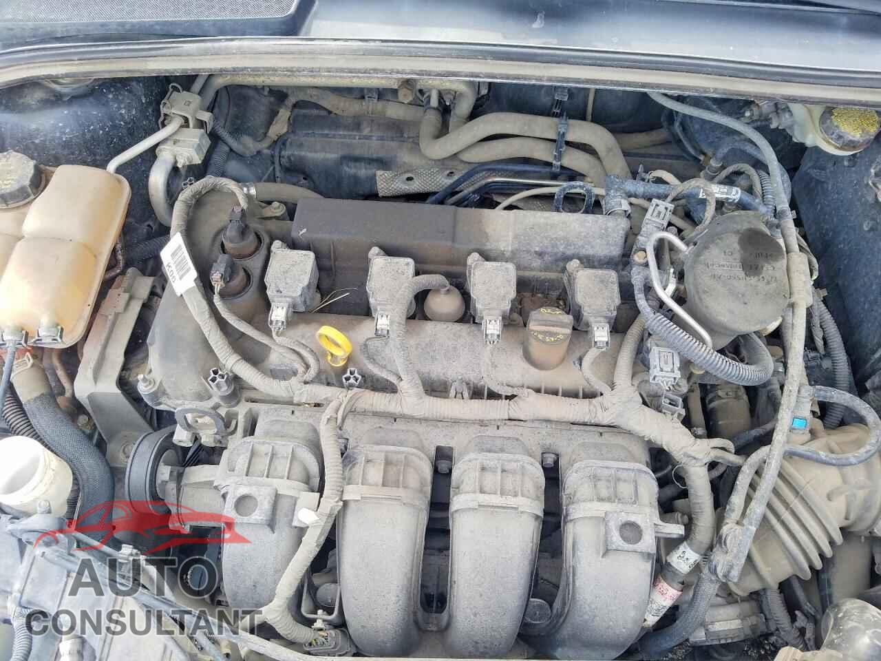FORD FOCUS 2016 - 1FADP3F23GL206404