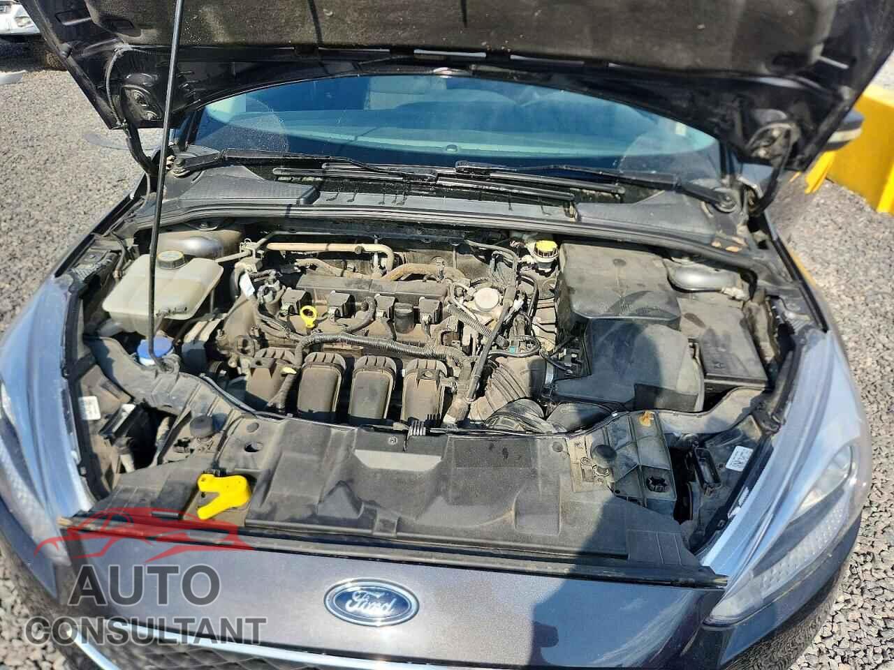 FORD FOCUS 2016 - 1FADP3F25GL379549