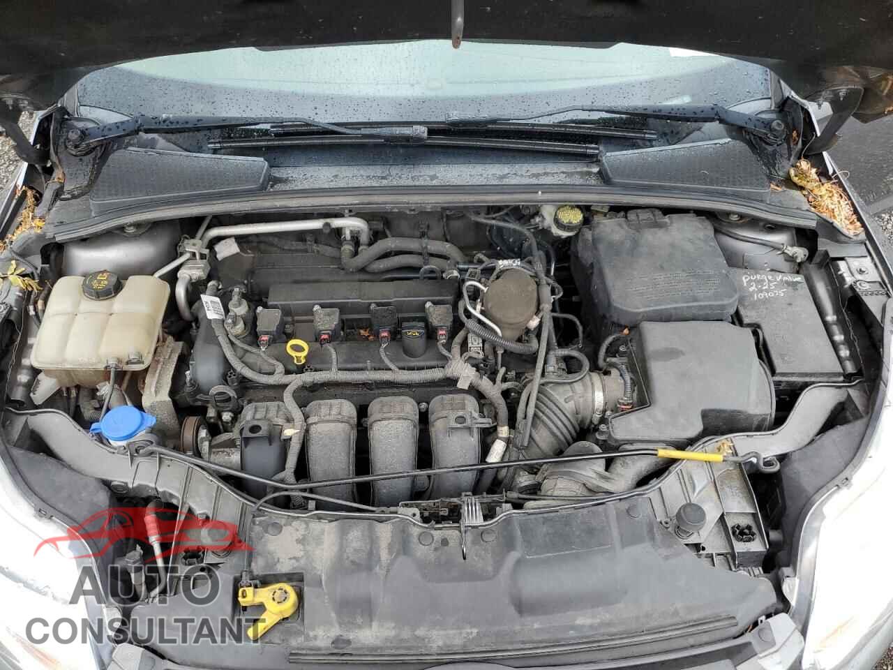 FORD FOCUS 2014 - 1FADP3K26EL457016