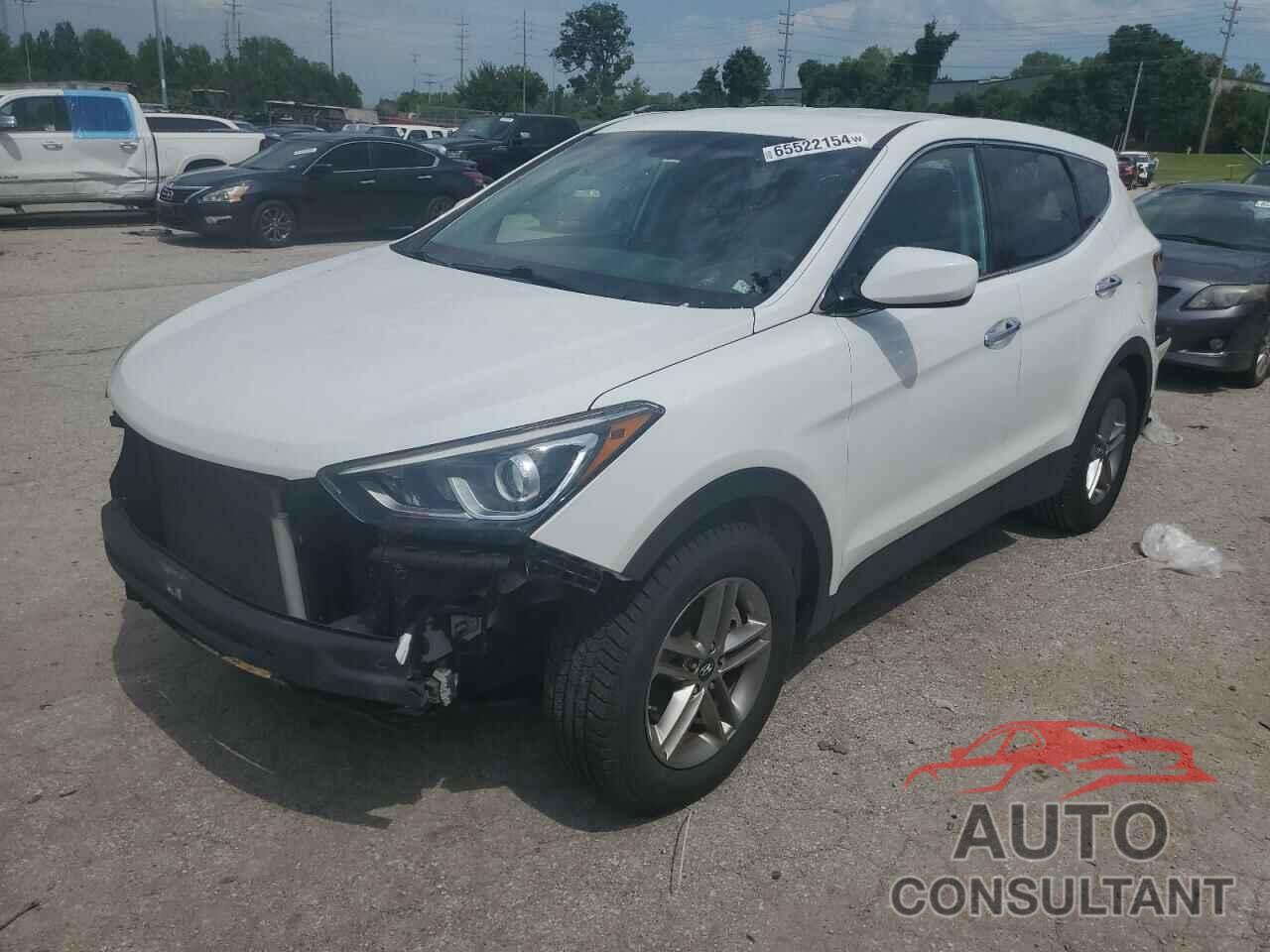 HYUNDAI SANTA FE 2017 - 5NMZTDLB6HH000387