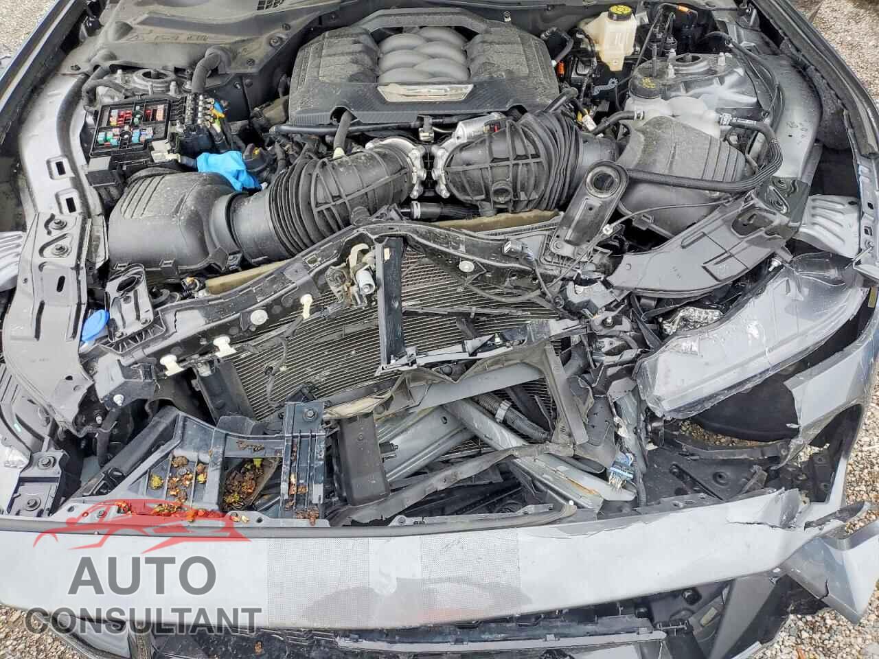 FORD MUSTANG 2025 - 1FA6P8CF4S5407285