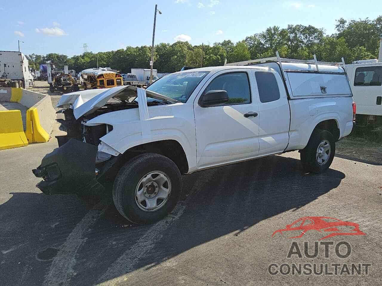 TOYOTA TACOMA 2022 - 3TYRX5GN6NT035247