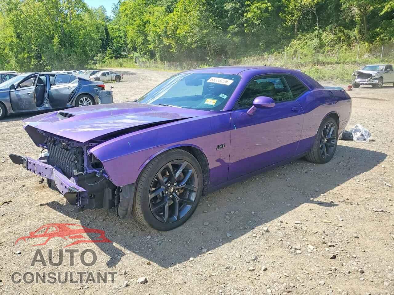 DODGE CHALLENGER 2019 - 2C3CDZBTXKH679632