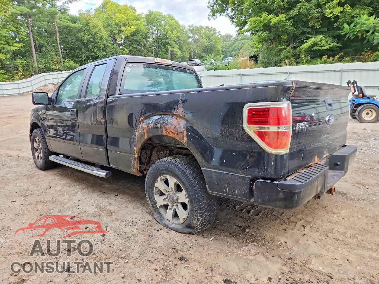 FORD F150 2014 - 1FTFX1EF4EFC58096