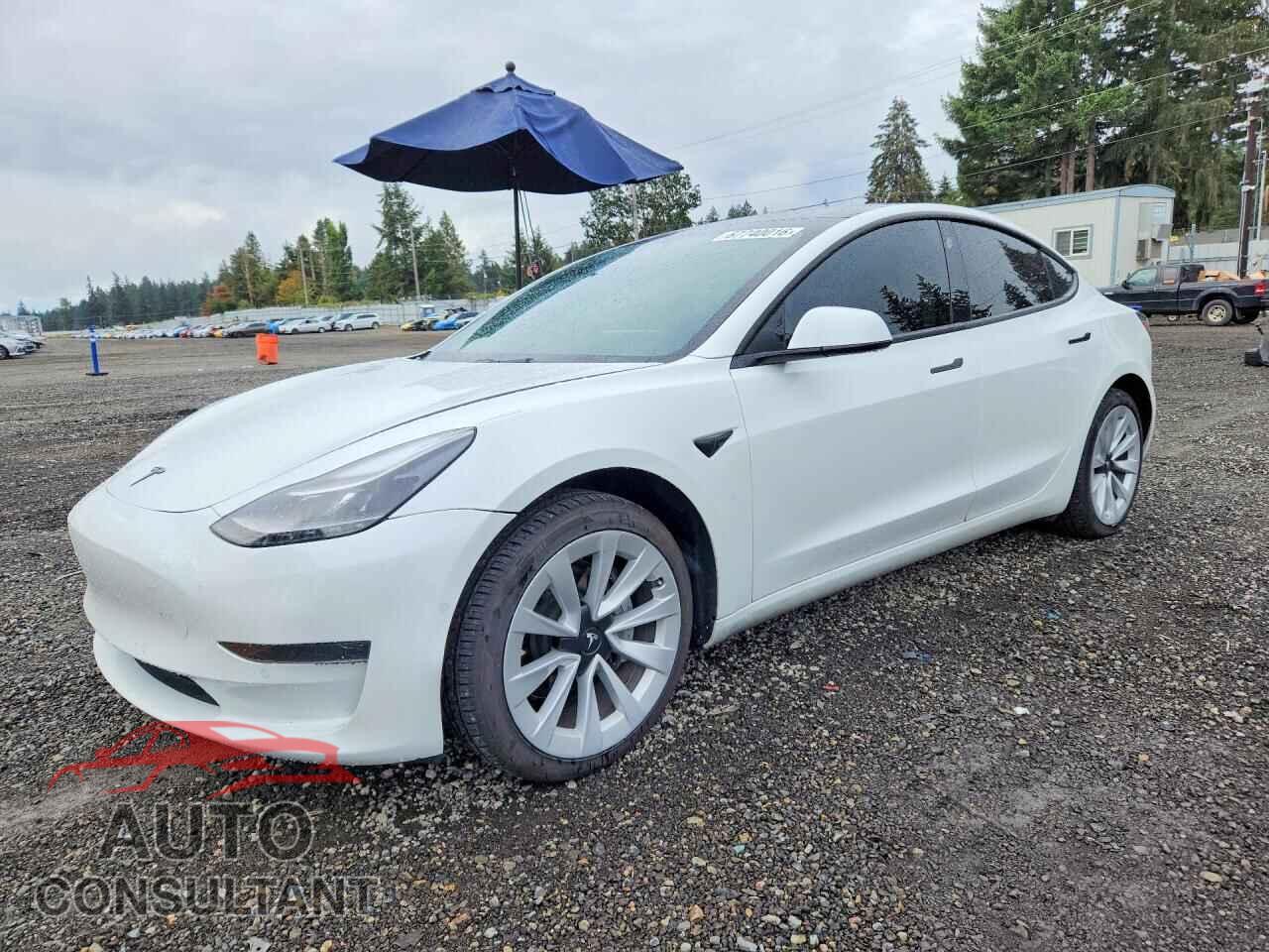 TESLA MODEL 3 2021 - 5YJ3E1EA2MF100971
