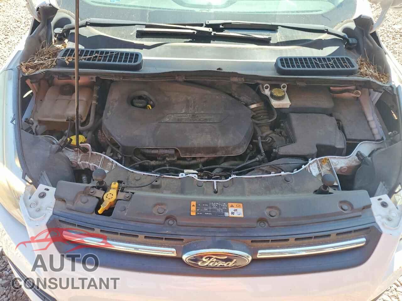 FORD ESCAPE 2014 - 1FMCU9GX4EUC01176