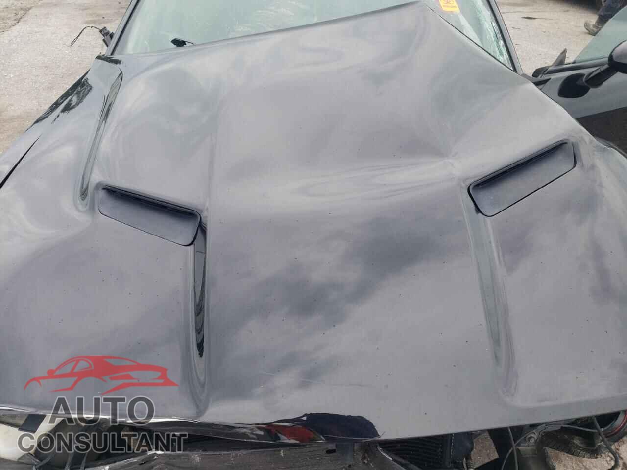 DODGE CHALLENGER 2019 - 2C3CDZAG2KH620580