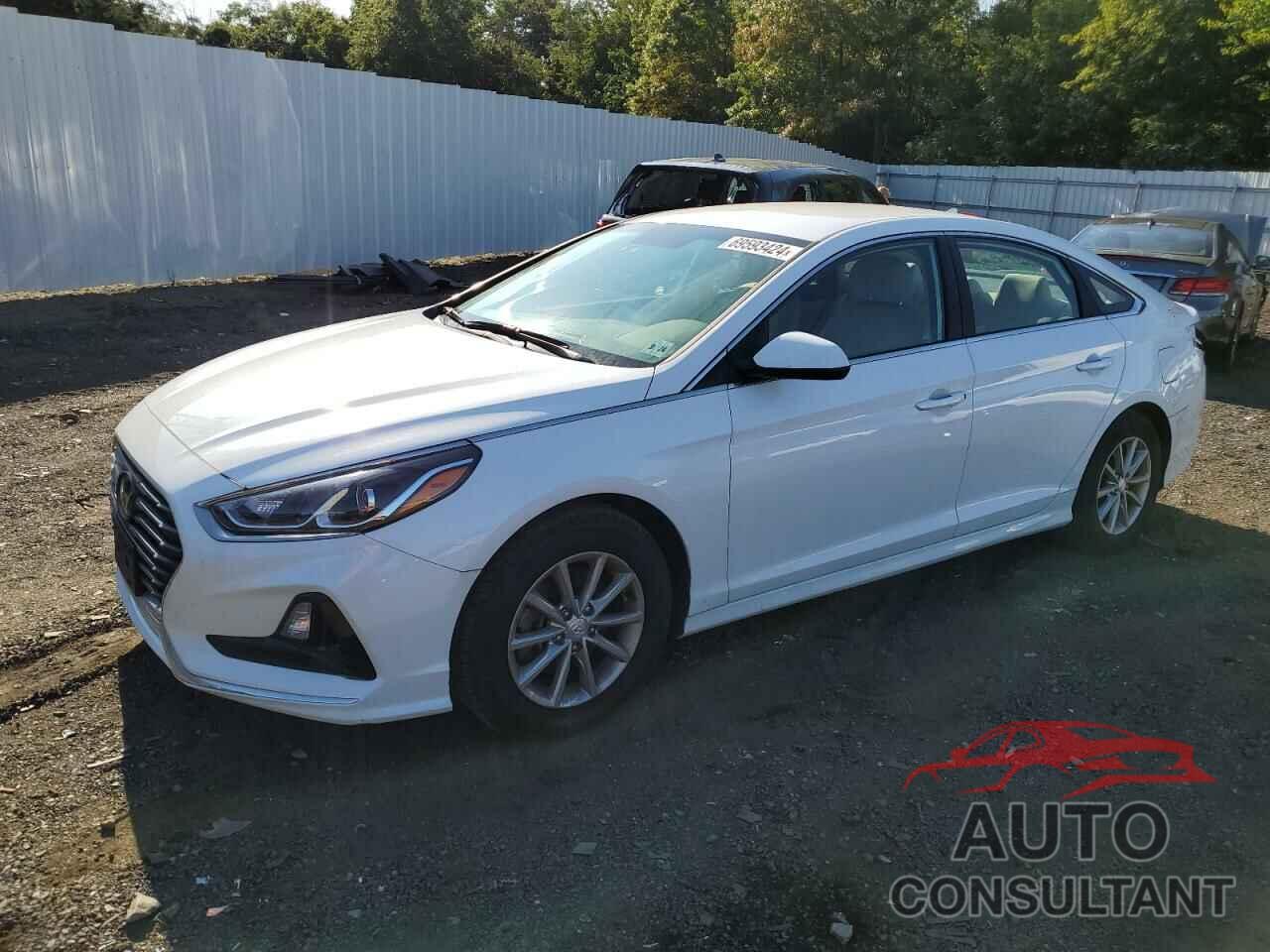 HYUNDAI SONATA 2019 - 5NPE24AF2KH817583